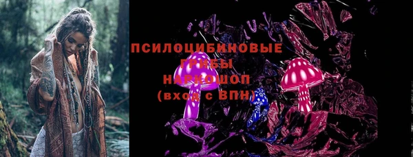 соль ск Алексеевка