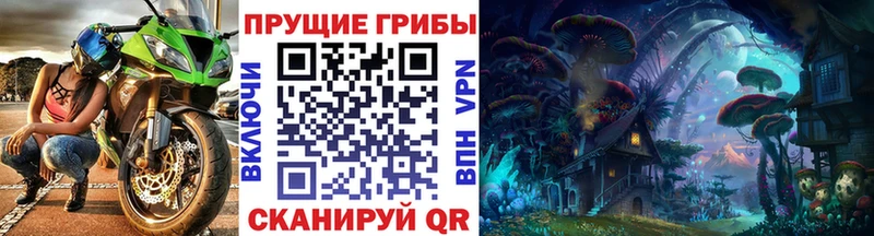 omg tor  shop телеграм  Псилоцибиновые грибы Cubensis  Сорочинск 