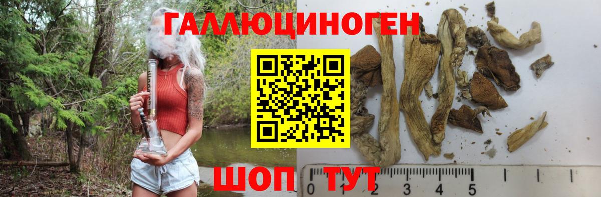 Сорочинск  Галлюциногенные грибы прущие грибы  Вход с VPN 